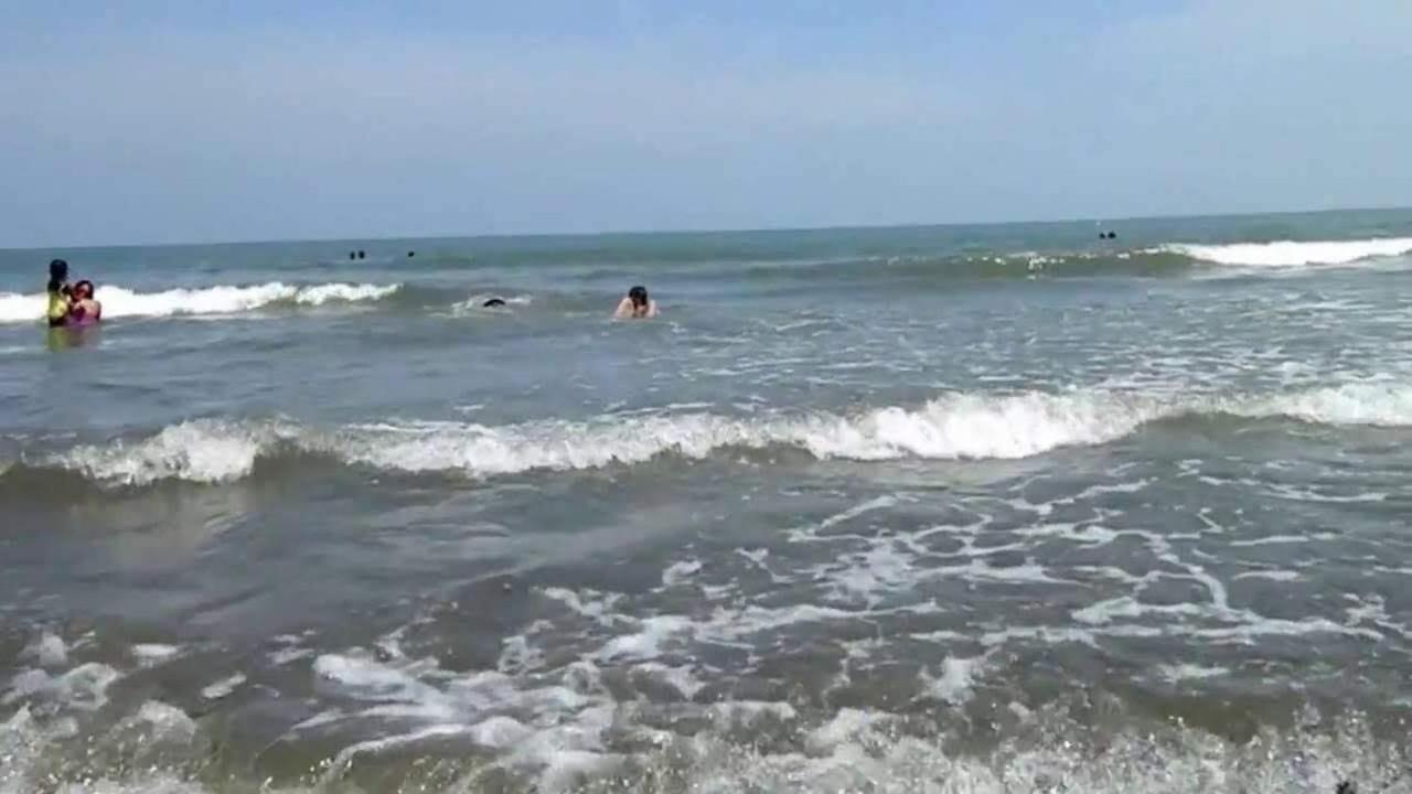 Hostel Casa De Playa Nativo *