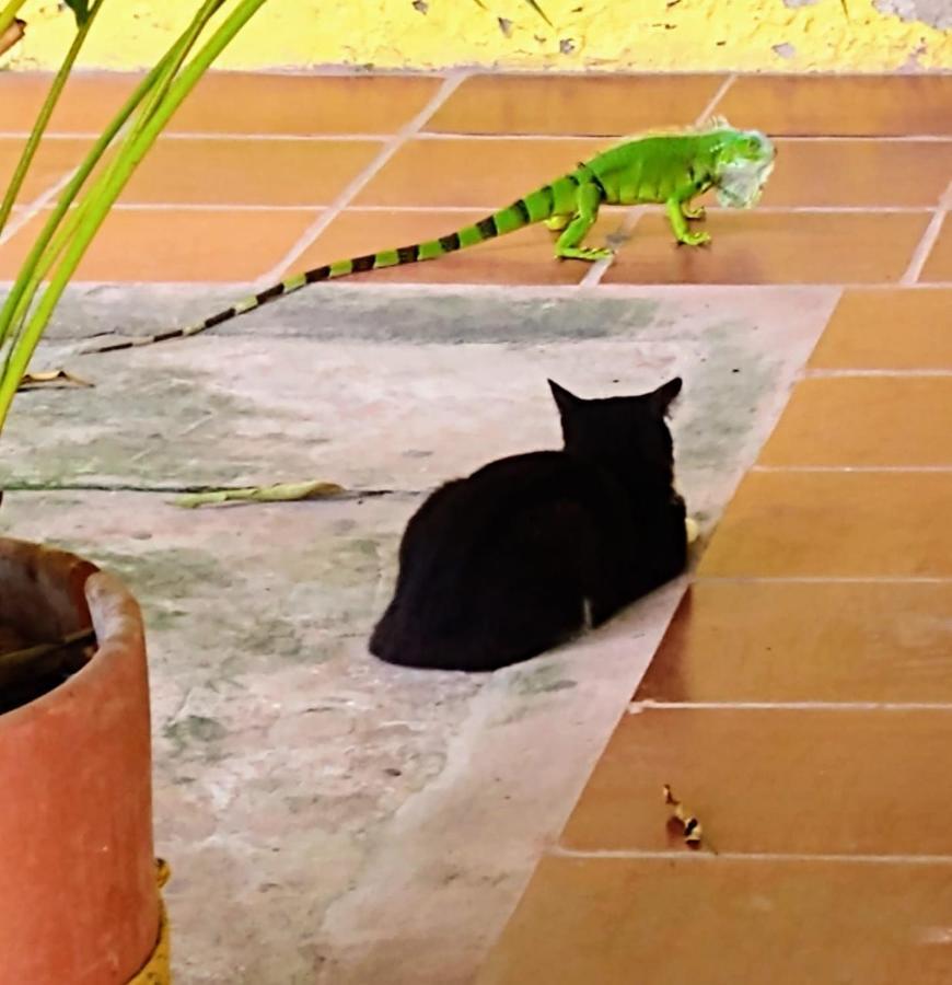 Casa De Playa Nativo